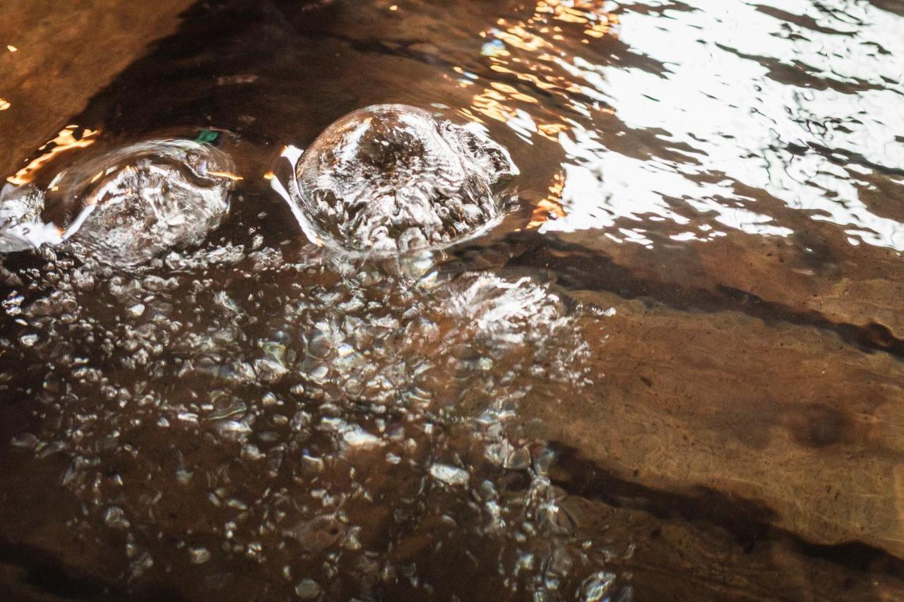 Tsuta Onsen Ryokan تووادا المظهر الخارجي الصورة